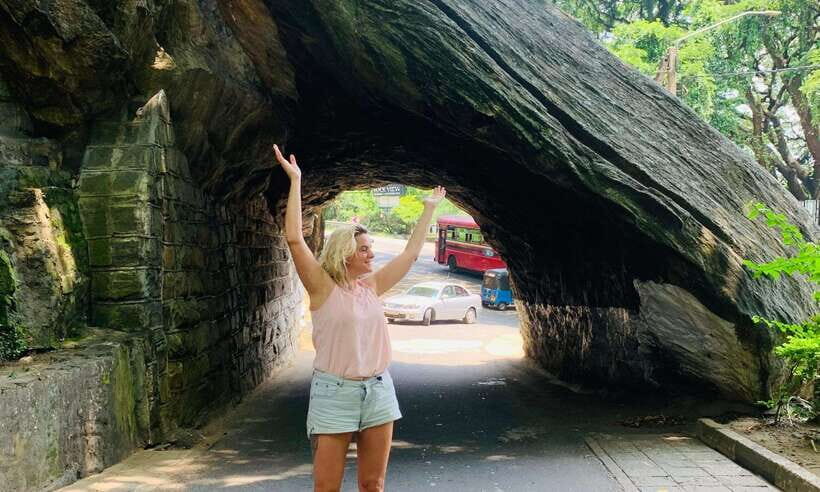 3-Day Sri Lanka Tour: Kandy Nuwara Eliya Ella & Yala Safari - What’s Included, What’s Not