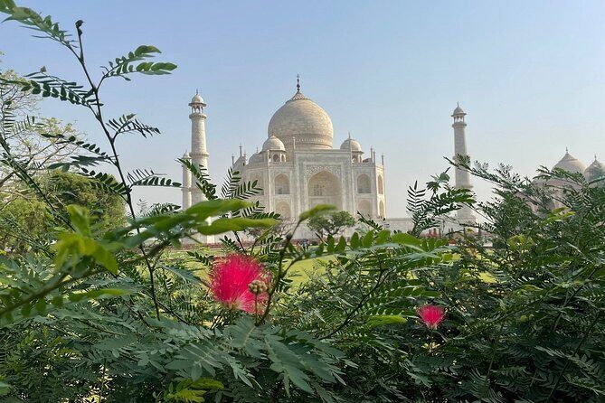3-Day Taj Mahal Sunrise, Delhi & Ranthambore Tiger Safari tour - An In-Depth Look at the 3-Day Taj Mahal Sunrise, Delhi & Ranthambore Tour