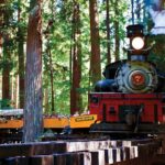 3 Day Tour to Oregon Redwood Crater Lake from San Francisco - Exploring the 3-Day Itinerary