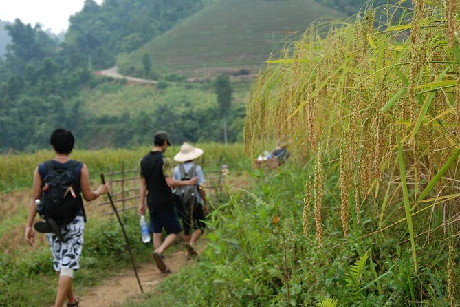 3-Day Trek in Amazing Muong Hoa Valley & ethnic Homestay - FAQ