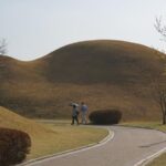 3-Days 2-Nights Gyeongju UNESCO Sites & Busan City [Private Tour from Seoul] - What Makes This Tour Stand Out?