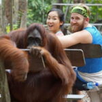 3 Days 2 Nights Wildlife Tanjung Puting - Day Two: Orangutan Feeding, Jungle Trekking, and Rainforest Exploration
