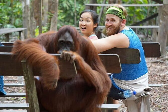 3 Days 2 Nights Wildlife Tanjung Puting - Day Two: Orangutan Feeding, Jungle Trekking, and Rainforest Exploration
