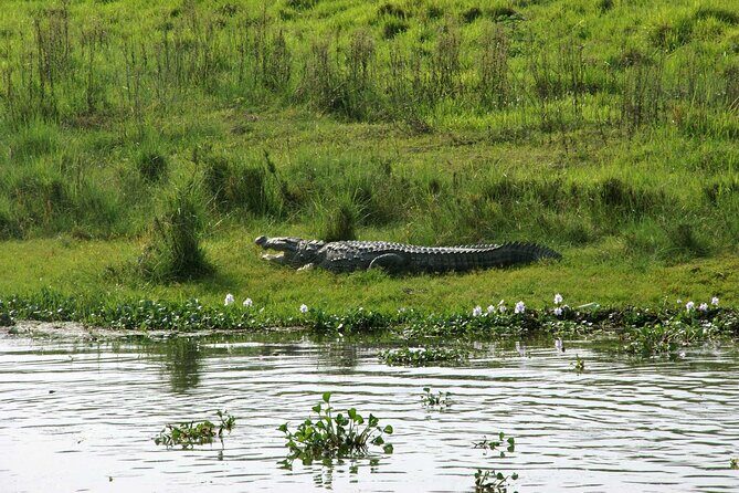 3 Days and 2 Nights Chitwan National Park Safari Tour in Pokhara - Who Should Consider This Tour?
