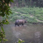 3 Days Chitwan Safari - Practical Details: What You Need to Know