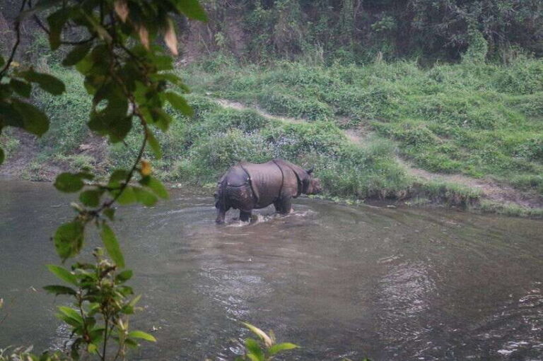 3 Days Chitwan Safari - Practical Details: What You Need to Know
