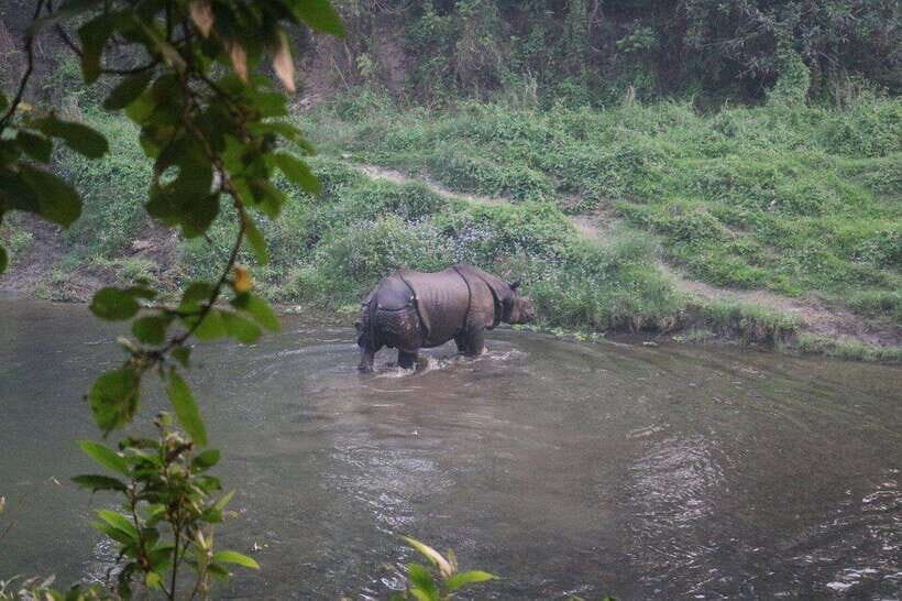 3 Days Chitwan Safari - Practical Details: What You Need to Know