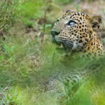 3 Days - Different discovery private wildlife tour - Exploring the Itinerary: What You Can Expect