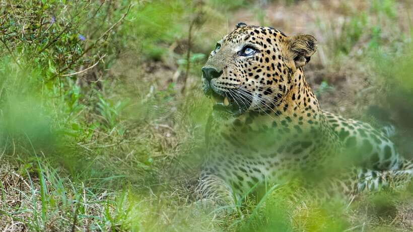 3 Days - Different discovery private wildlife tour - Exploring the Itinerary: What You Can Expect