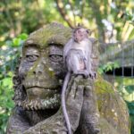 3 Days for the best of Ubud Private Tour - Authentic Experiences and Valuable Insights