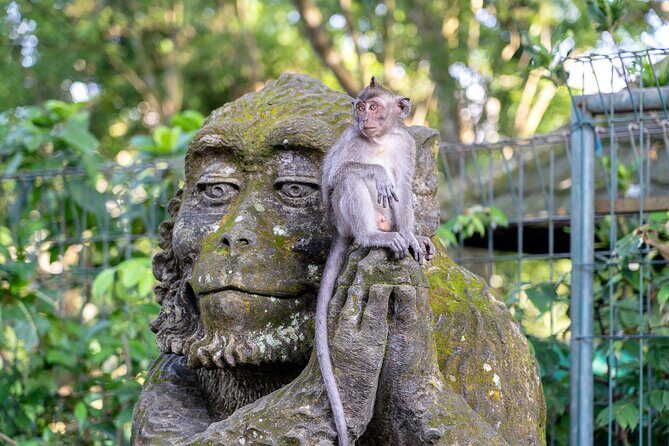 3 Days for the best of Ubud Private Tour - Authentic Experiences and Valuable Insights