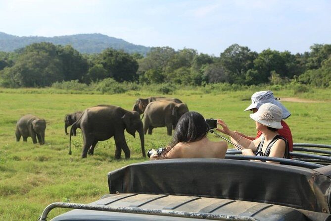 3 Days Glimpse of Sri Lanka - A Closer Look at the 3-Day Itinerary