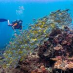(3 Days) PADI Open Water Diver Course Kota Kinabalu - The Sum Up
