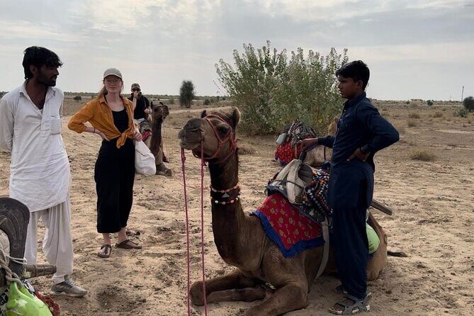 3 Days Tour in Wild Desert Safari - Real Experiences from Travelers