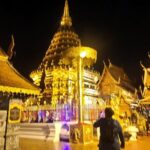 3 experiences: Doi Suthep Temple, Wat Phalat & Elephants - Detailed Review of the Tour