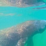 3-Hour Clear Kayak Beach Hopping Adventure in Sarasota - An In-Depth Look at the Sarasota Kayak Adventure