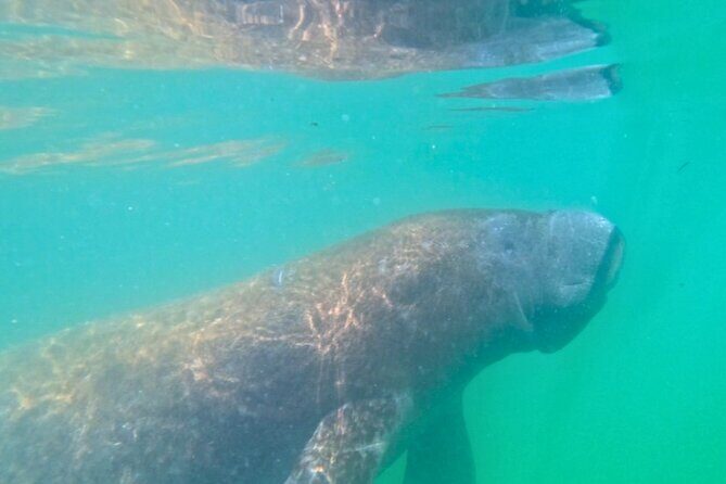 3-Hour Clear Kayak Beach Hopping Adventure in Sarasota - An In-Depth Look at the Sarasota Kayak Adventure