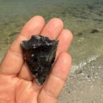 3 hour E.G. Simmons Park Mangrove Tunnel Tour - Frequently Asked Questions