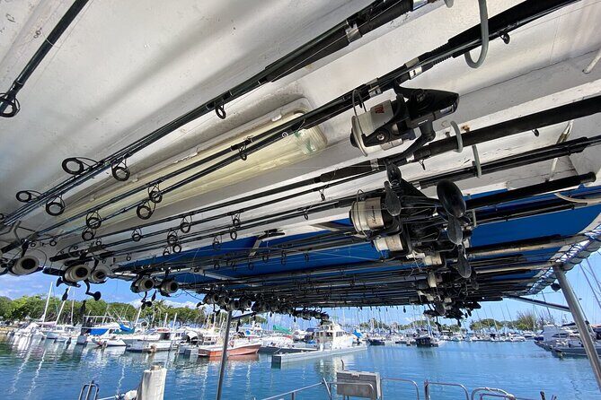 3-Hour Honolulu Bottom Fishing Adventure - Authentic Reviews: What Travelers Say
