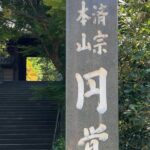 3 Hour Japanese Culture Tour in Kamakura Temples - Final Thoughts: Why Choose This Tour?