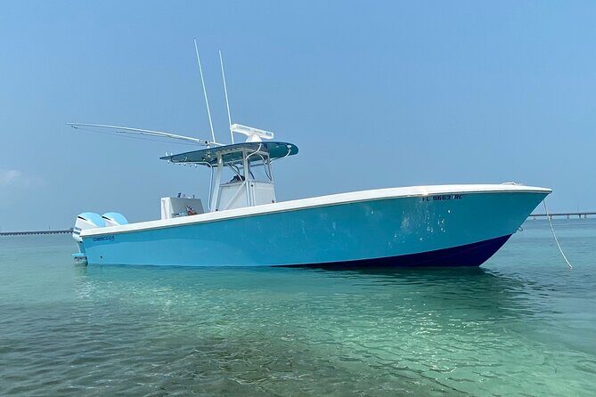 3 Hour Private Snorkeling in Marathon Florida - Who Should Book This Tour?