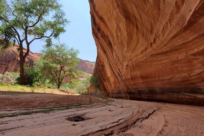 3 hour Private Tour in Chinle - Frequently Asked Questions