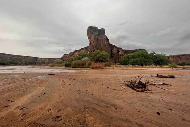 3-hour Private Tour - Final Thoughts: Why You Should Consider This Tour