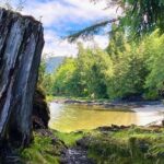 3-Hour Rainforest, Beach & Wildlife Walk - Who Will Love This Tour?