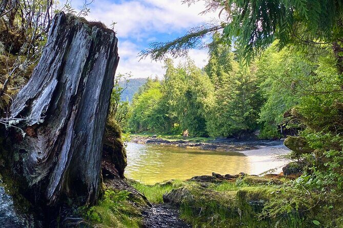 3-Hour Rainforest, Beach & Wildlife Walk - Who Will Love This Tour?