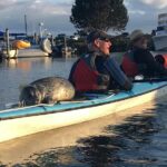 3-Hour Sea Kayak Tour in the San Juan Islands - Exploring the San Juan Islands by Kayak: A Detailed Review