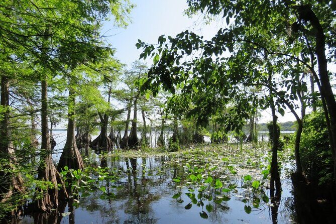 3 Hour Small Group Lake Norris Kayak Activity - Exploring the Experience: What to Expect on Your Lake Norris Kayak Tour