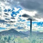 3 Hour Sonoran Desert Private Guided Mountain Bike Tour - Who Will Love This Tour?