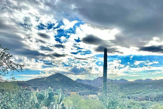 3 Hour Sonoran Desert Private Guided Mountain Bike Tour - Who Will Love This Tour?