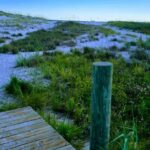 3 Hour Sunset Cruise to Shell Island - Who Will Love This Tour?
