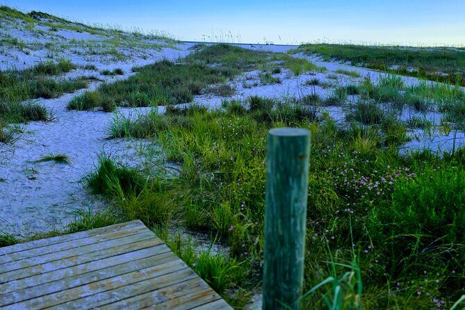 3 Hour Sunset Cruise to Shell Island - Who Will Love This Tour?