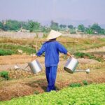 3 Hours Hoi An Countryside Bicycle Tour - Starting the Journey: Convenience and Comfort