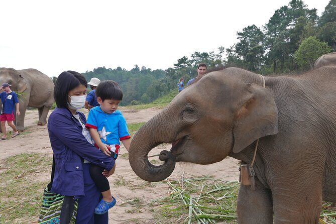 3-in-1: Doi Inthanon Tour, Elephant Sanctuary, and Trekking Trail - Frequently Asked Questions