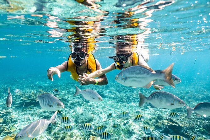 3 in 1 Snorkeling, Parasailing, with Turtle - An In-Depth Look at the 3 in 1 Tour