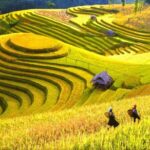 3-Night Sapa Trek and Homestay with Round Trip Transfer from Hanoi - The Itinerary: A Closer Look