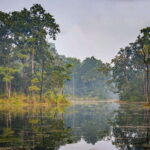 3 Nights 4 Days: Chitwan National Park with Tower Night Stay - An In-Depth Look at Your 4-Day Chitwan Safari