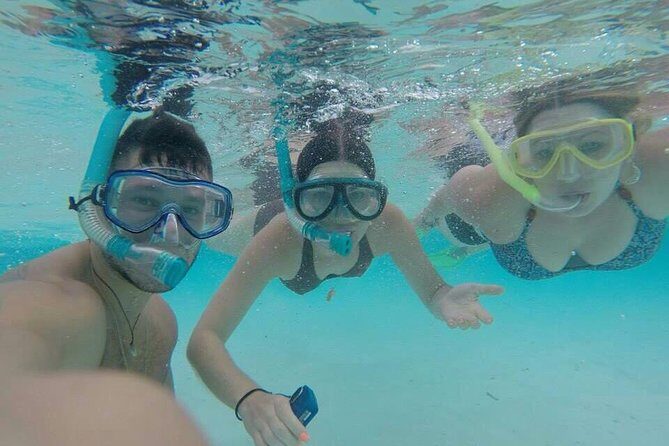 3 Point Snorkeling Safari - Final Thoughts