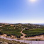 3-Winery Tour Includes Lunch from Paso Robles & Atascadero - What Travelers Love Most