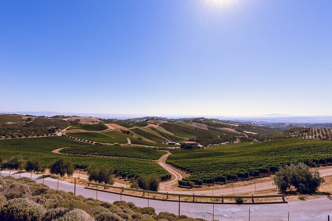 3-Winery Tour Includes Lunch from Paso Robles & Atascadero - What Travelers Love Most