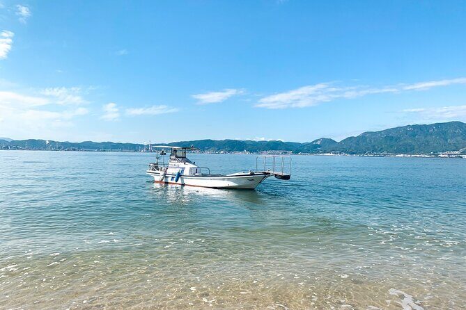 30 Minutes One Way Cruise from Miyahama Onsen to Miyajima - Authentic Cultural Experience and Scenic Views