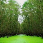 3D2N Mekong - Floating Market - Chau Doc - Boat To Phnom Penh - FAQs