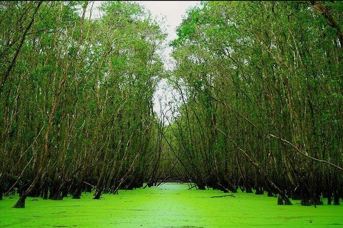 3D2N Mekong - Floating Market - Chau Doc - Boat To Phnom Penh - FAQs
