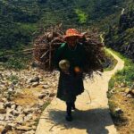 3D2N PRIVATE CAR TOUR + ENGLISH SPEAKING DRIVER (SUV 7 seats) - In-Depth Review of the Ha Giang 3-Day Private Car Tour