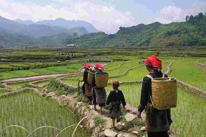 3D2N, Sapa Trekking Tour from Hanoi (Homestay & Hotel Overnight) - Final Day: Free Time and Return Journey