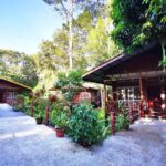 3D2N Sukau Wildlife Experience - A detailed look at the 3D2N Sukau Wildlife Experience