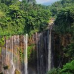 3Days - Tumpaksewu Bromo Ijen Adventure via Malang - The Sum Up